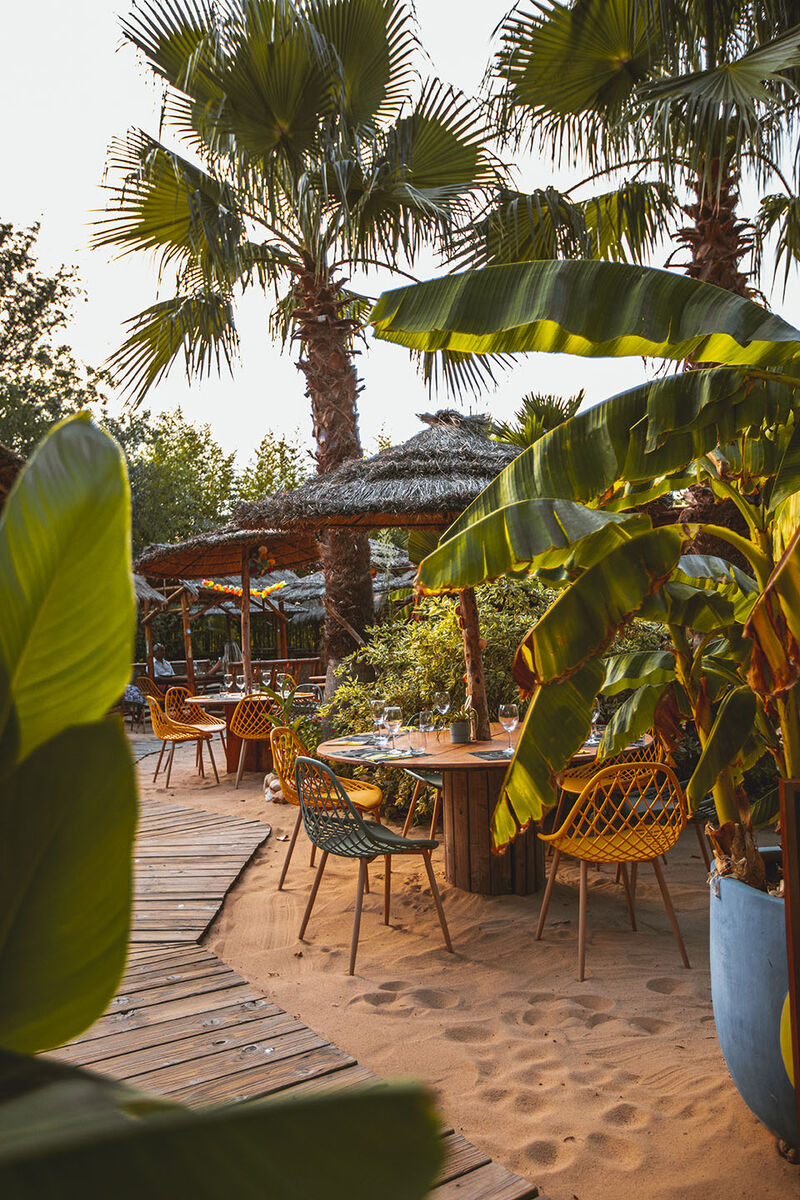 La terrasse tropicale du CocoYa Beach